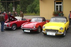 Oldtimertreffen-Koglhof-19.06.10-5