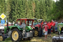 22.06.2013-Oldtimertreffen-Koglhof-125