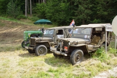 22.06.2013-Oldtimertreffen-Koglhof-178