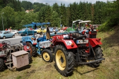 22.06.2013-Oldtimertreffen-Koglhof-296