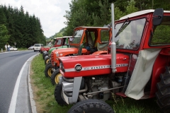 22.06.2013-Oldtimertreffen-Koglhof-301
