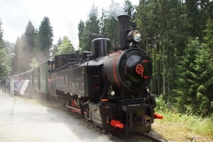 22.06.2013-Oldtimertreffen-Koglhof-525