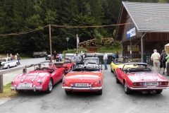 21.06.2014-Oldtimertreffen-Koglhof-13