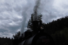 21.06.2014-Oldtimertreffen-Koglhof-134