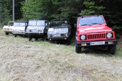 21.06.2014-Oldtimertreffen-Koglhof-41