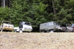 21.06.2014-Oldtimertreffen-Koglhof-42