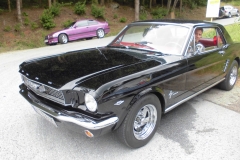 20.06.2015-Oldtimertreffen-Koglhof-102