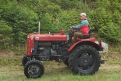 20.06.2015-Oldtimertreffen-Koglhof-160