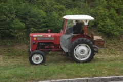 20.06.2015-Oldtimertreffen-Koglhof-161