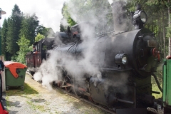 20.06.2015-Oldtimertreffen-Koglhof-236