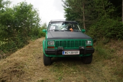 20.06.2015-Oldtimertreffen-Koglhof-246