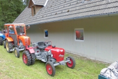 20.06.2015-Oldtimertreffen-Koglhof-33