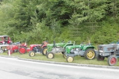 20.06.2015-Oldtimertreffen-Koglhof-46