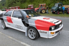 20.06.2015-Oldtimertreffen-Koglhof-57