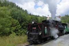 20.06.2015-Oldtimertreffen-Koglhof-80