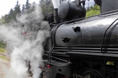 20.06.2015-Oldtimertreffen-Koglhof-81