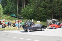 25.06.2016-Oldtimertreffen-Koglhof-194
