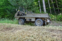 24.06.2017-Oldtimertreffen-Koglhof-71