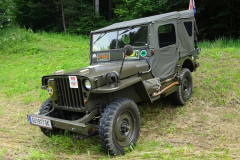 18.06.22-Oldtimertreffen-B72-Koglhof-37