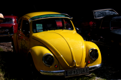 MG_6334