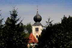 MG_6377