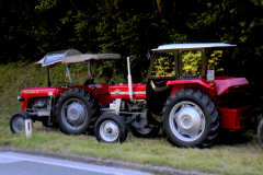 MG_6404