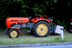 MG_6406