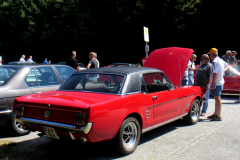 MG_6442