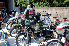 MG_6479