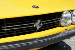 20.06.26-Oldtimertreffen-in-Koglhof-103