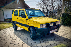 Fiat-Panda-141-Bj.-1995-55-PS-1100-ccm-4-Zyl
