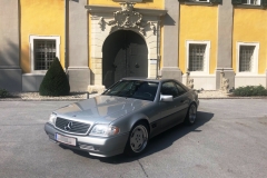 Mercedes-Benz-SL-300-24V-Bj.-1992-231-PS-3000-cm³-6-Zylinder